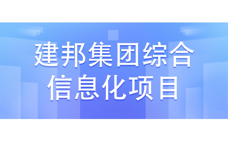 建邦集團綜合信息化建設項目